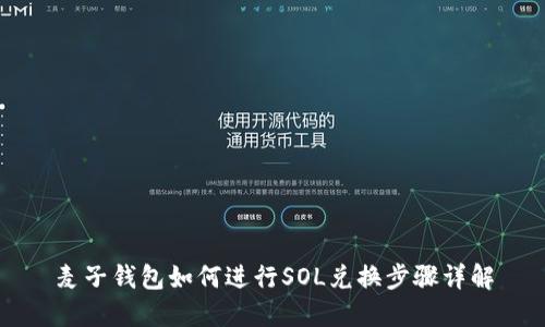 麦子钱包如何进行SOL兑换步骤详解