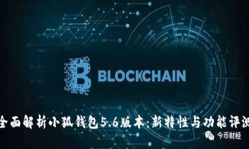 全面解析小狐钱包5.6版本：新特性与功能评测