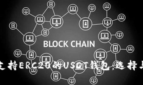 全面解析支持ERC20的USDT钱包：选择与使用指南